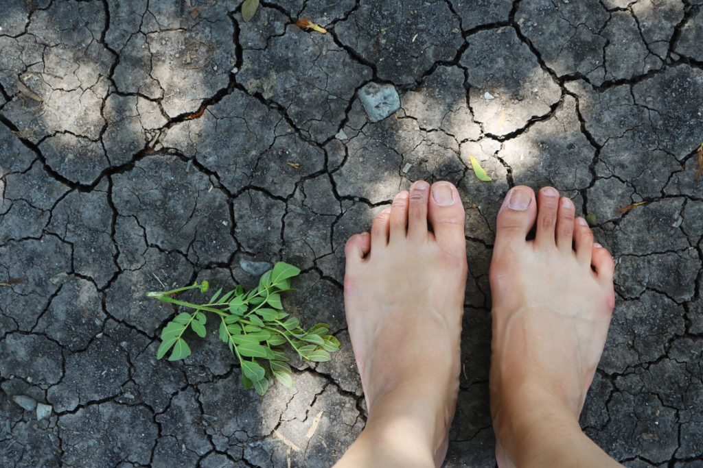 landscape in thailand