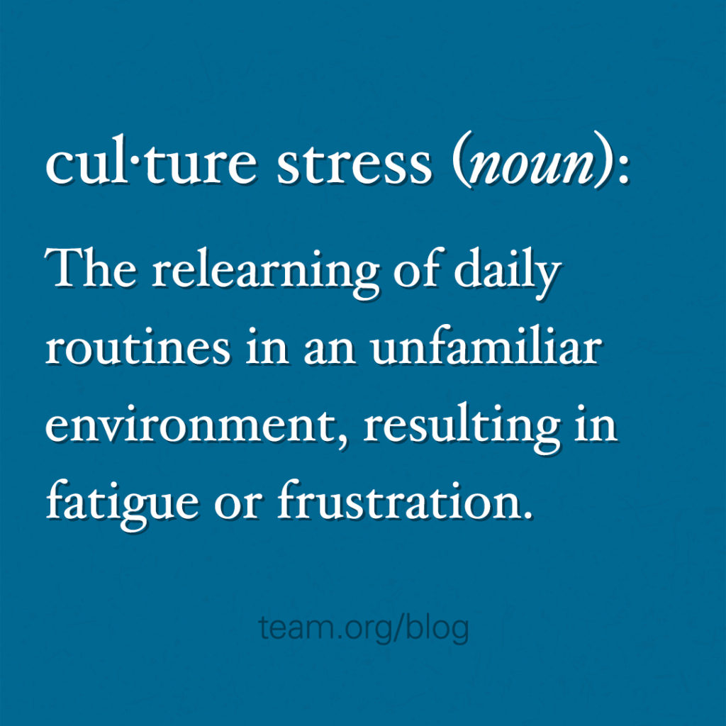 culture stress