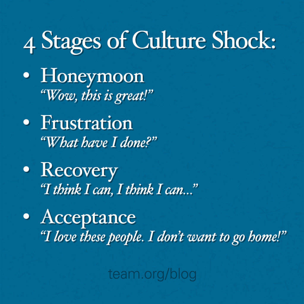 stages of culture shock