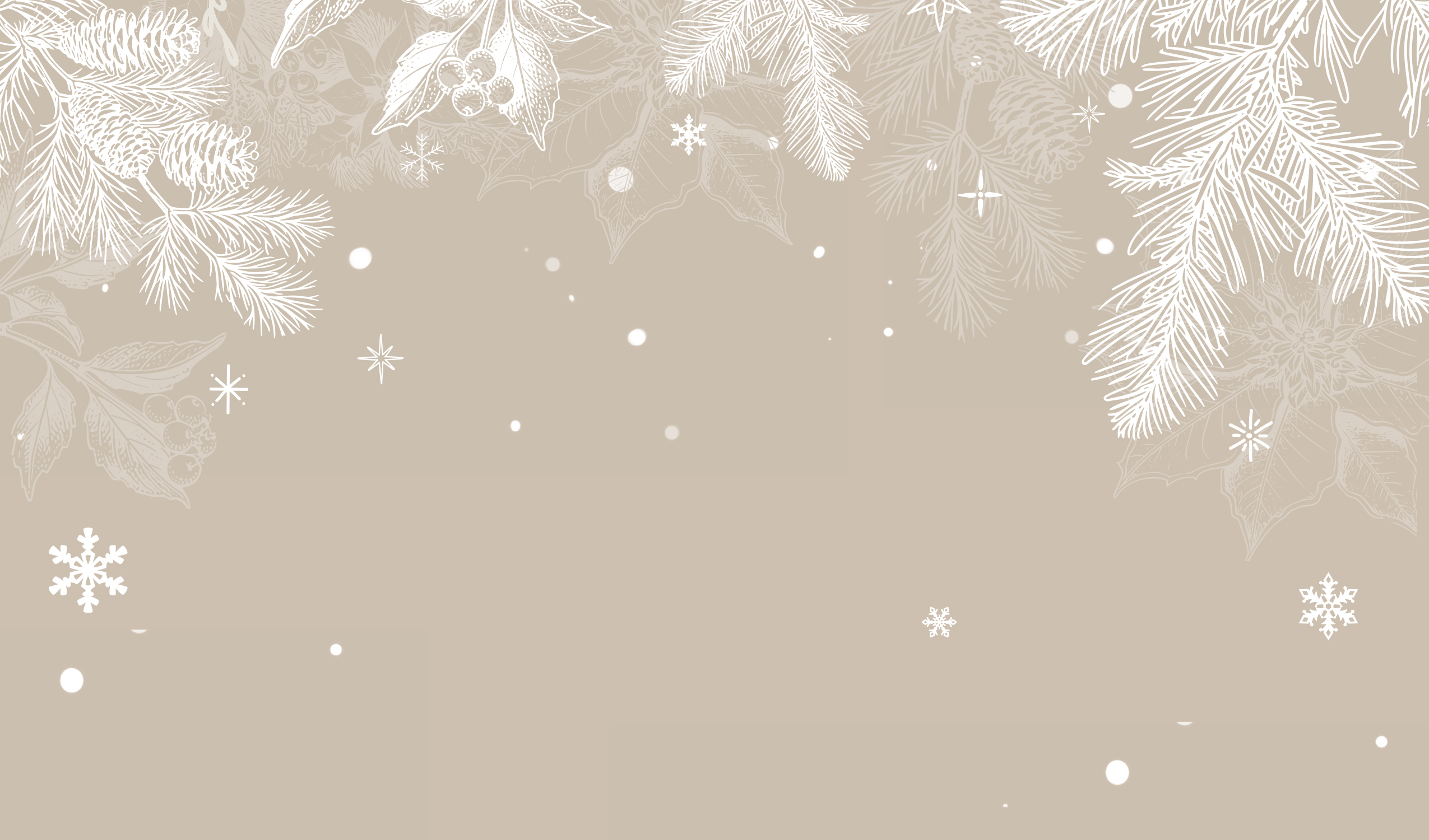 Pine cones and snowflakes