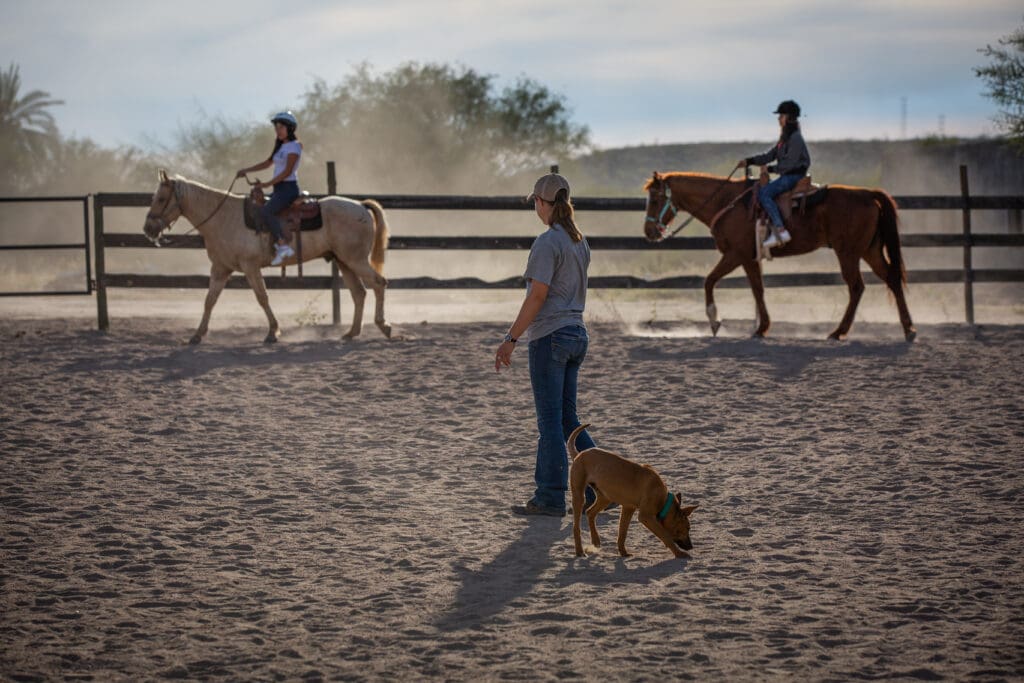 Two horses with riders riding around.