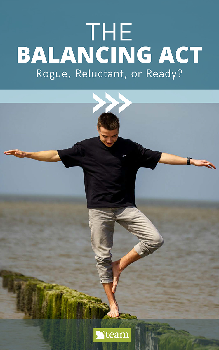 The Balancing Act eBook cover